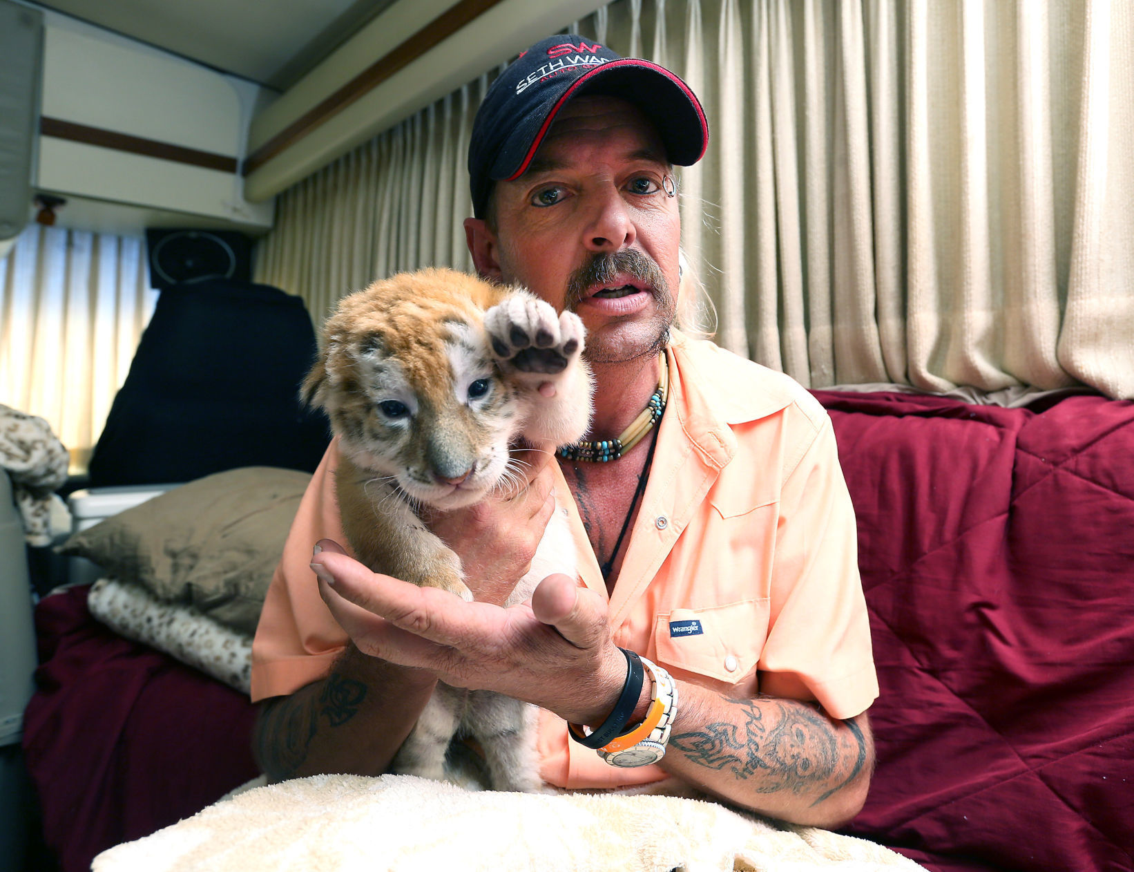 Tigers-at-the-fair-001